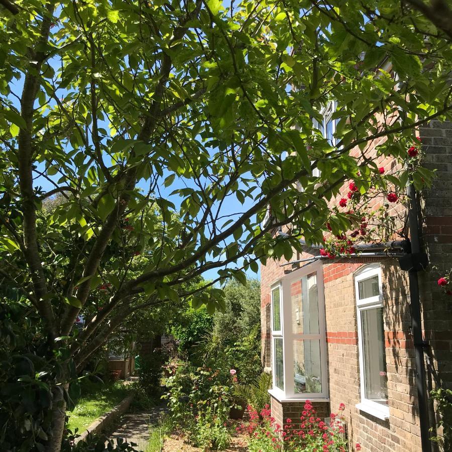 Radipole Pretty Victorian Garden Flat 아파트 외부 사진